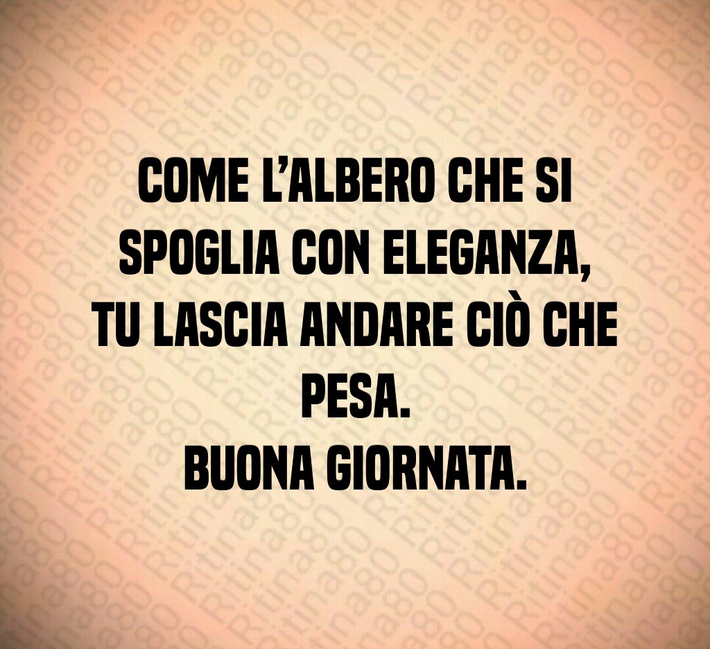 Come l’albero che si spoglia con eleganza,
tu lascia andare ciò che pesa.
Buona giornata. Come l’albero che si spoglia con eleganza,
tu lascia andare ciò che pesa.
Buona giornata.