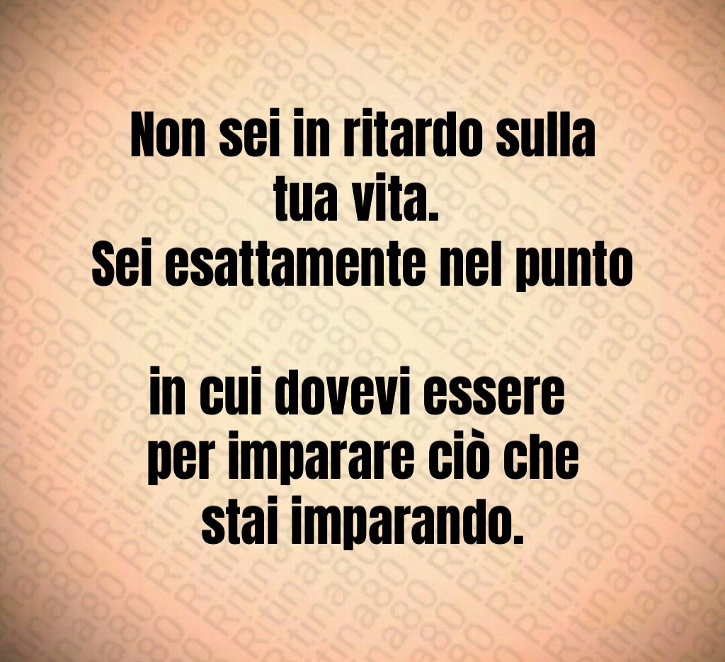 Non sei in ritardo sulla tua vita. 
Sei esattamente nel punto 
in cui dovevi essere 
per imparare ciò che stai imparando.