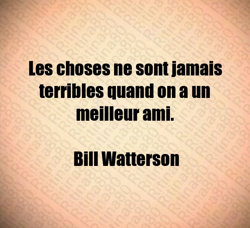 Les choses ne sont jamais terribles quand on a un meilleur ami. Bill Watterson