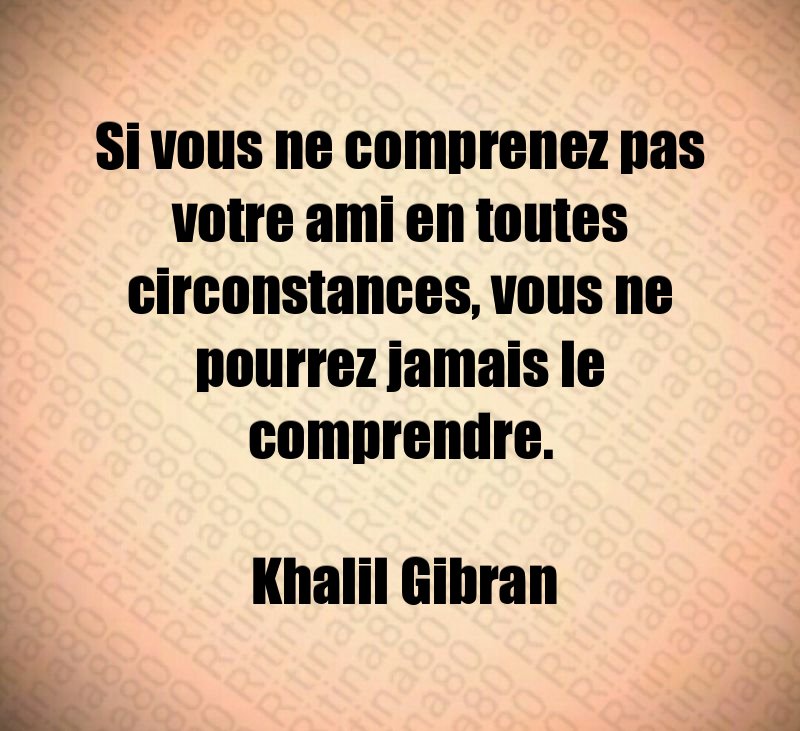 Si vous ne comprenez pas votre ami en toutes circonstances, vous ne pourrez jamais le comprendre. Khalil Gibran