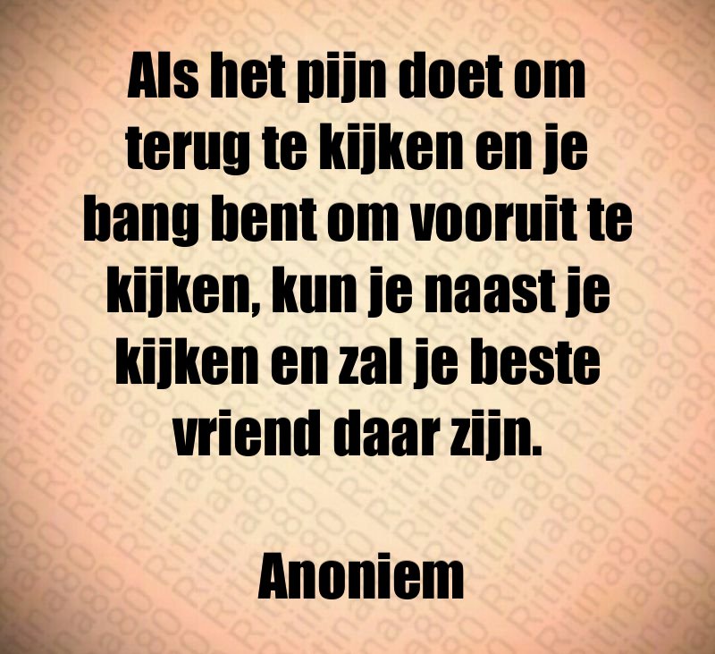 Als het pijn doet om terug te kijken en je bang bent om vooruit te kijken, kun je naast je kijken en zal je beste vriend daar zijn. Anoniem