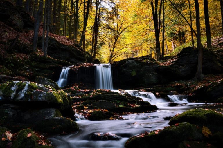La Danza dell'Acqua e della Pietra: Trova la Tua Forza nel Lasciar Andare