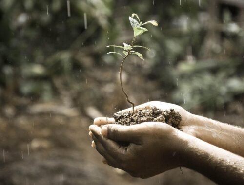 Ho Imparato a Vivere: Frasi Profonde sulla Crescita Personale e la Speranza