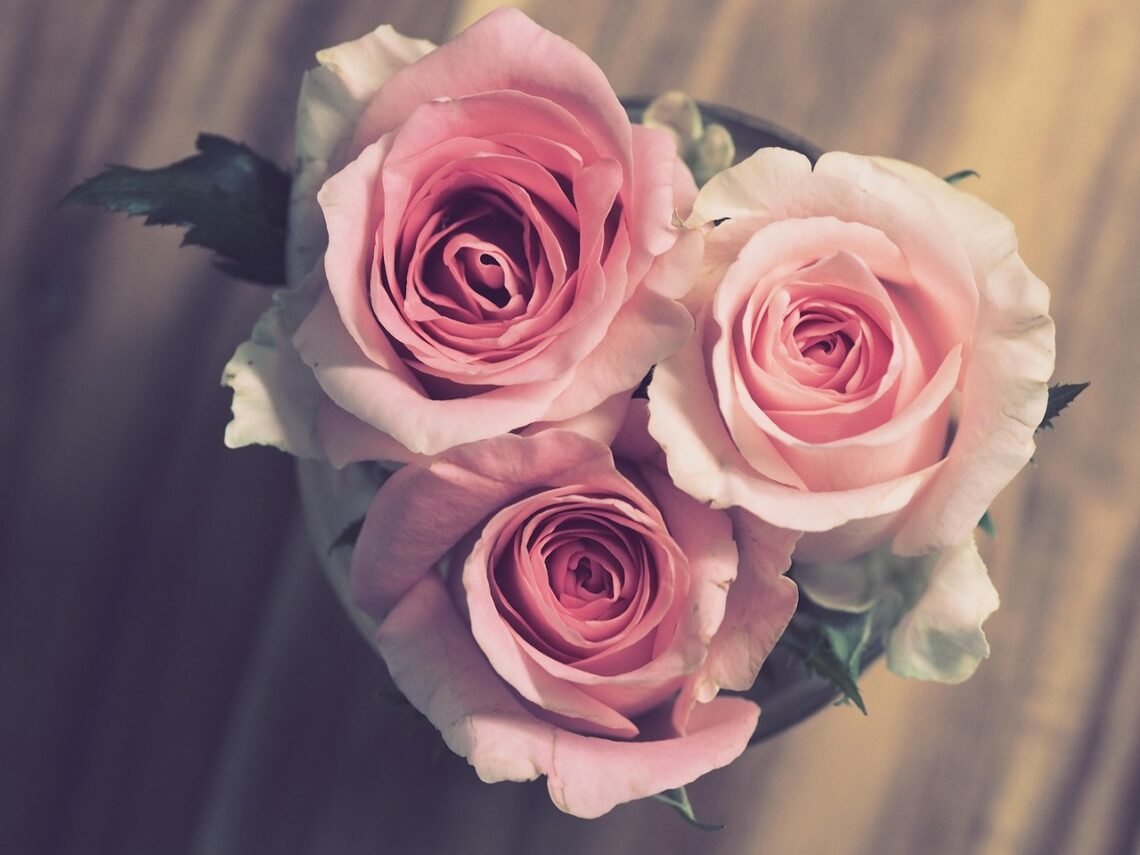 frasi romantiche per l’anniversario