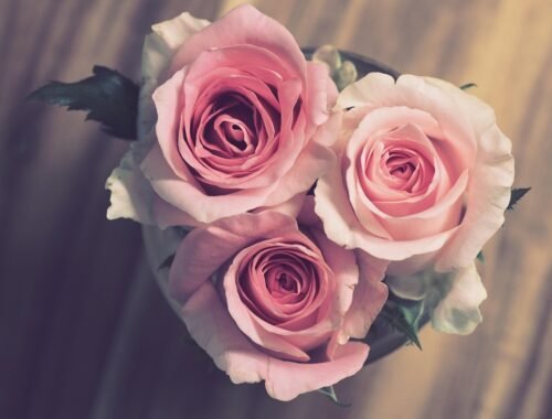 frasi romantiche per l’anniversario