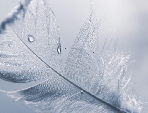 Non sei andato via. Sei solo entrato nel mio respiro