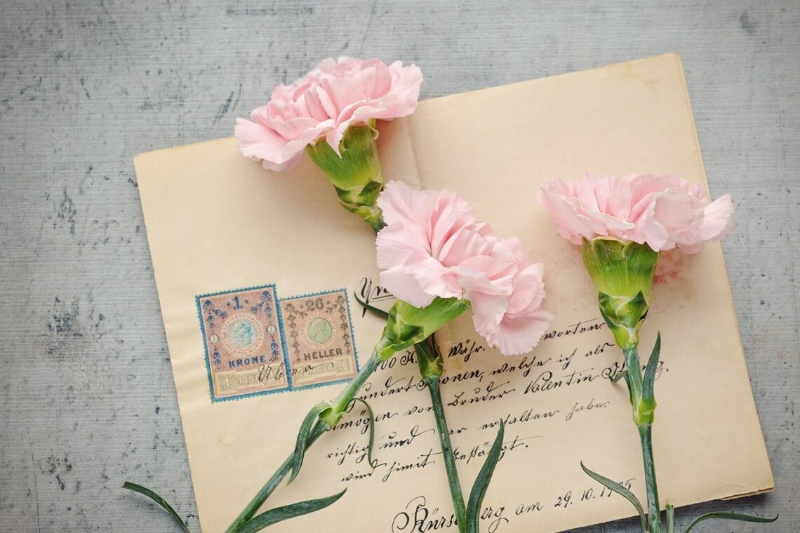 Lettera di un Ex Alunno a una Maestra in Pensione