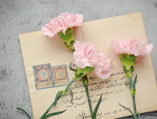 Lettera di un Ex Alunno a una Maestra in Pensione